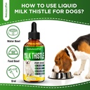 milk-thistle-for-dogs-dog-liver-suppleme-5.jpg