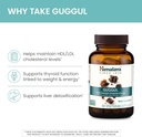 himalaya-guggul---herbal-liver-support-f-3.jpg