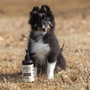 hemp-well-thrive-oil-for-dogs-and-cats-s-4.jpg