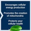 life-extension-mitochondrial-energy-opti-4.jpg