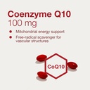 protocol-coq10-100mg---with-vitamin-e-so-4.jpg