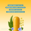 snap-gut-health-supplement-turmeric-aloe-2.jpg