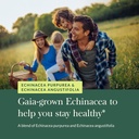 gaia-herbs-echinacea-supreme---immune-su-5.jpg