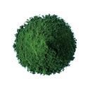 food-to-live-organic-algae-powder-mix-4--3.jpg