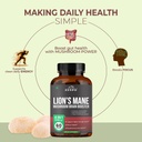 lions-mane-mushroom-complex-1200mg-brain-6.jpg