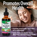 natures-answer-burdock-root-herbal-suppl-4.jpg