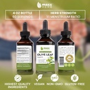 maxx-herb-olive-leaf-extract-max-strengt-5.jpg