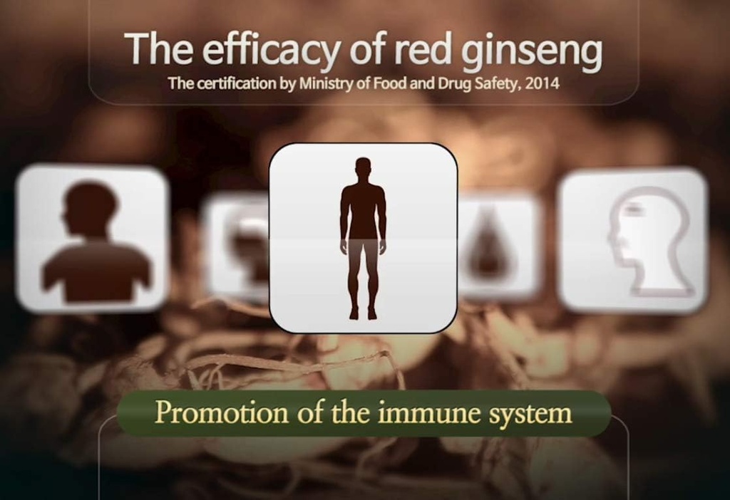 authentic-6years-korean-red-ginseng---30-6.jpg
