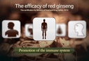 authentic-6years-korean-red-ginseng---30-6.jpg