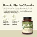 complete-natural-products-organic-olive--6.jpg