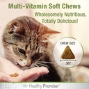four-paws-healthy-promise-cat-multivitam-3.jpg