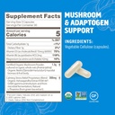 om-mushroom-superfood-relax-mushroom-cap-5.jpg