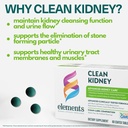 elements-clean-kidney-60-tablets-30-day--3.jpg