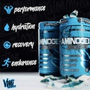 vmi-sports-aminogex-ultra-eaa-bcaa-powde-3.jpg