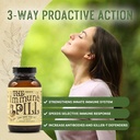 the-immune-pill-90-capsules---immune-sys-4.jpg