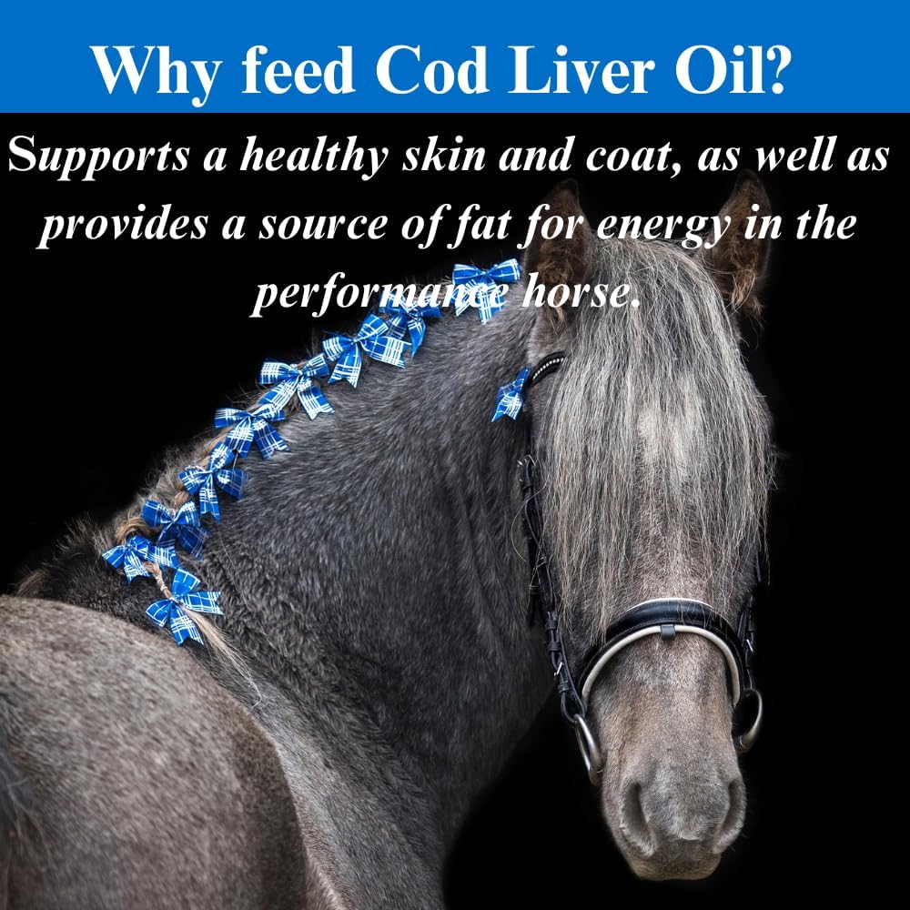 su-per-cod-liver-oil-for-horses---horse--5.jpg