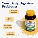 vitalitown-probiotics-prebiotics-60-bill-2.jpg
