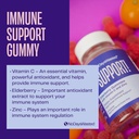 immune-support-gummies---no-days-wasted--2.jpg