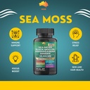 muse-sea-moss-black-seed-oil-ashwagandha-3.jpg