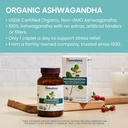 himalaya-organic-ashwagandha-for-energy--3.jpg