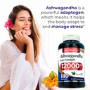 fito-medics-lab-ashwagandha-ashwagandha--4.jpg