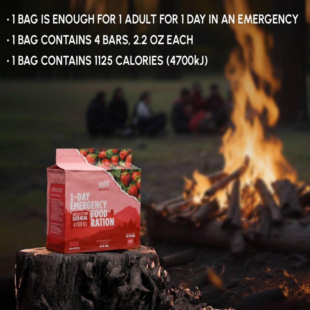 emergency-food-supply-3-days-72-hours-st-5.jpg