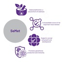 aor-semet-selenomethionine-a-natural-for-4.jpg