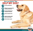 vitalize-dog-digestive-health-powder---r-4.jpg