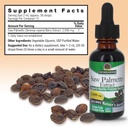 natures-answer-alcohol-free-saw-palmetto-3.jpg