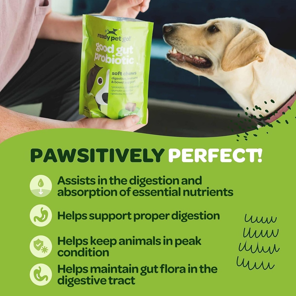 probiotic-chews-for-dogs-gut-health-tast-4.jpg