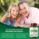 zazzee-extra-strength-boswellia-serrata--2.jpg