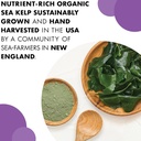 bluebonnet-nutrition-atlantic-sea-kelp-i-4.jpg