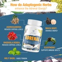 adrenal-support-adaptogens-herbs-supplem-3.jpg