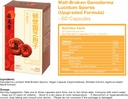 cracked-shell-reishi-spore-capsules-ling-5.jpg