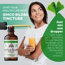 ginkgo-biloba-tincture-organic-ginkgo-bi-4.jpg