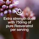 resveratrol-supplement---trans-resveratr-5.jpg