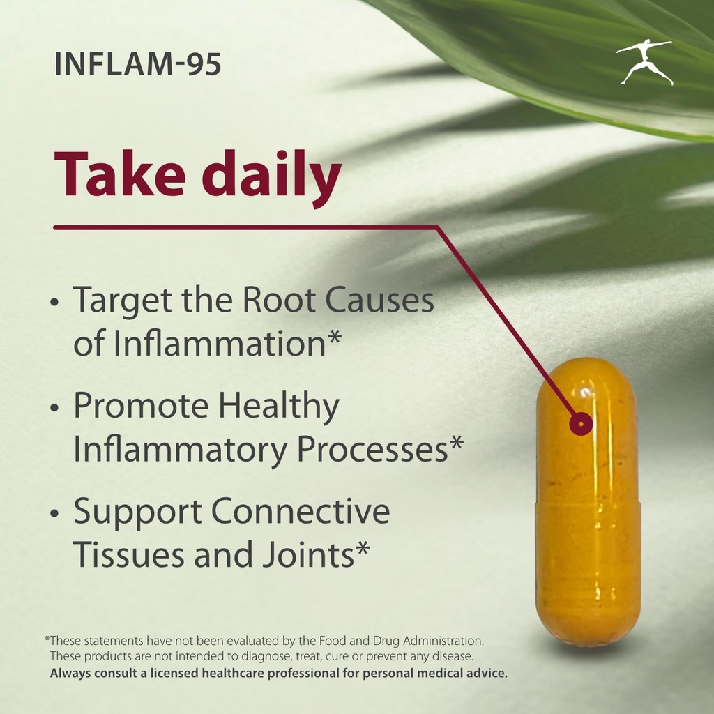 inflam-95---ginger-root-extract-2000-mg--3.jpg