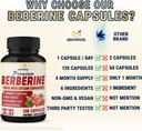 bmvinvol-6in1-berberine-supplement-with--4.jpg