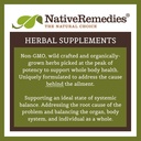 native-remedies-thyrosoothe-and-detox-dr-4.jpg