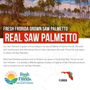 saw-palmetto-extract-10x-potency-pharmac-6.jpg