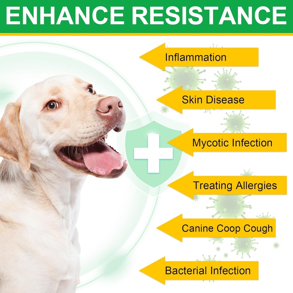 antibiotics-for-dogsdog-multivitamindog--6.jpg