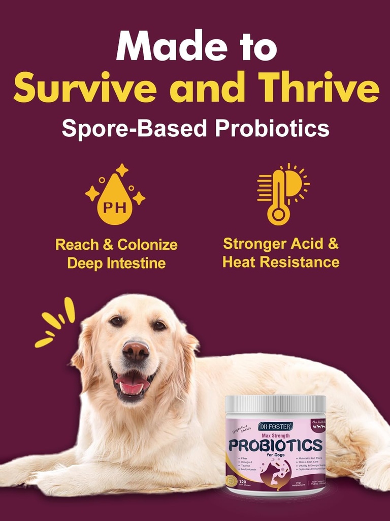 probiotics-for-dogs---dog-probiotics-for-4.jpg