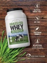 carlyle-grass-fed-whey-protein-powder-2l-5.jpg