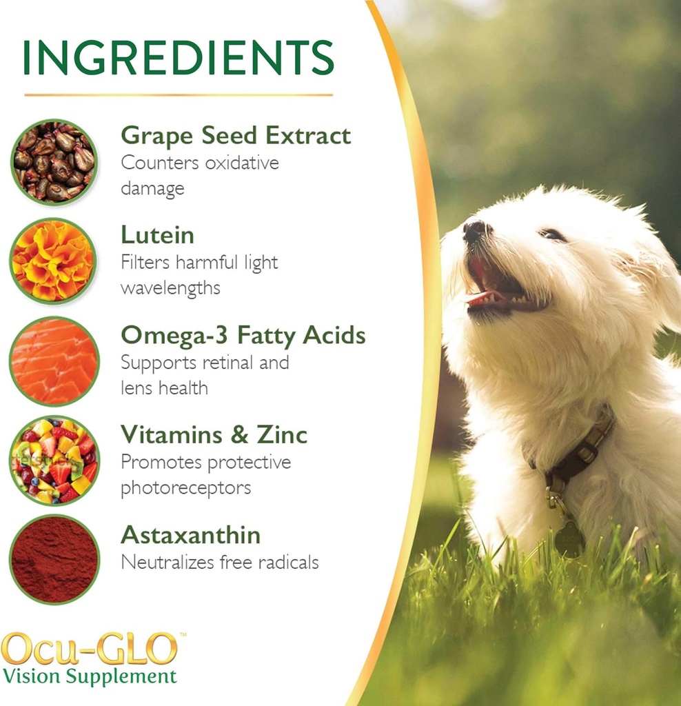 ocu-glo-pb-vision-supplement-for-medium--3.jpg