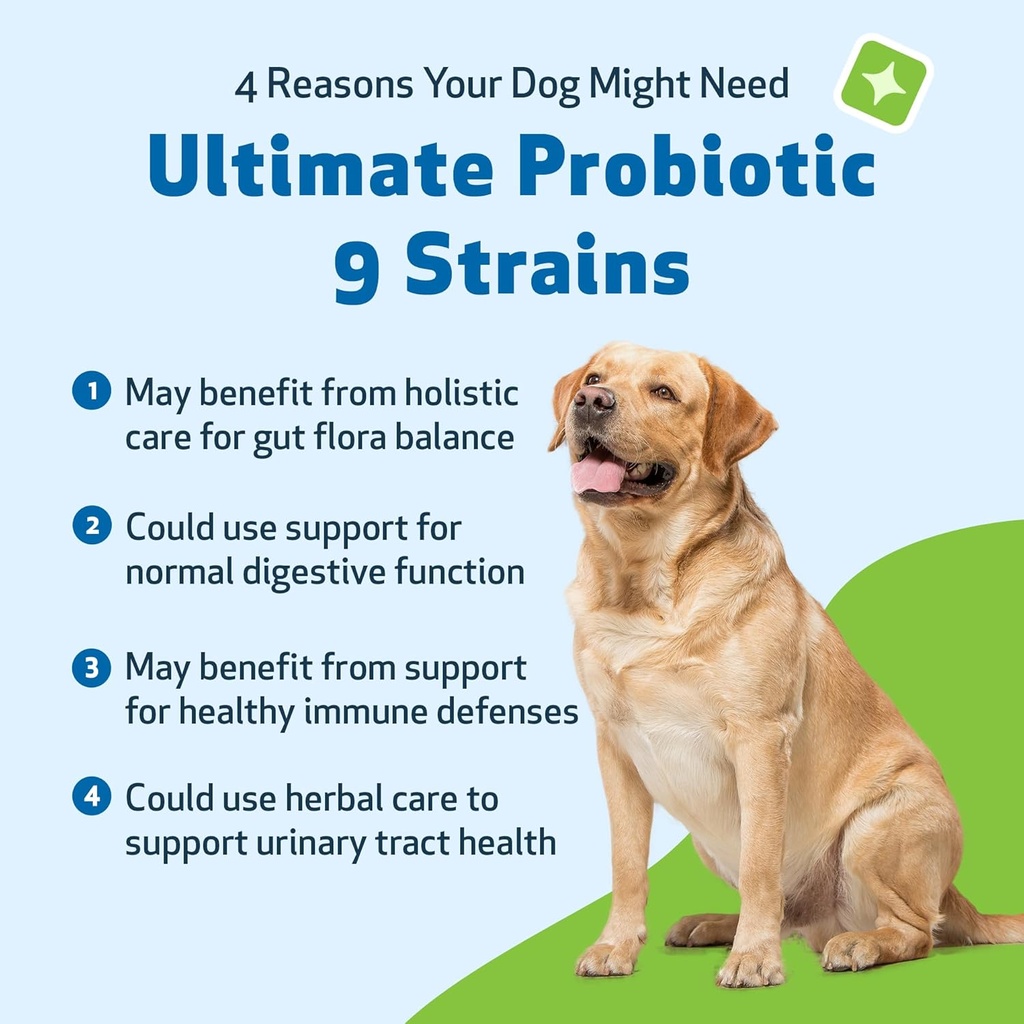 pet-wellbeing---ultimate-probiotic-9-str-3.jpg