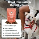 lolahemp-mushroom-supplement-for-dogs----3.jpg