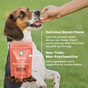 lolahemp-mushroom-supplement-for-dogs----6.jpg