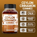 ceylon-cinnamon-gummies-60-count-apple-c-6.jpg