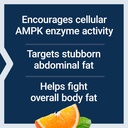 life-extension-ampk-metabolic-activator--4.jpg