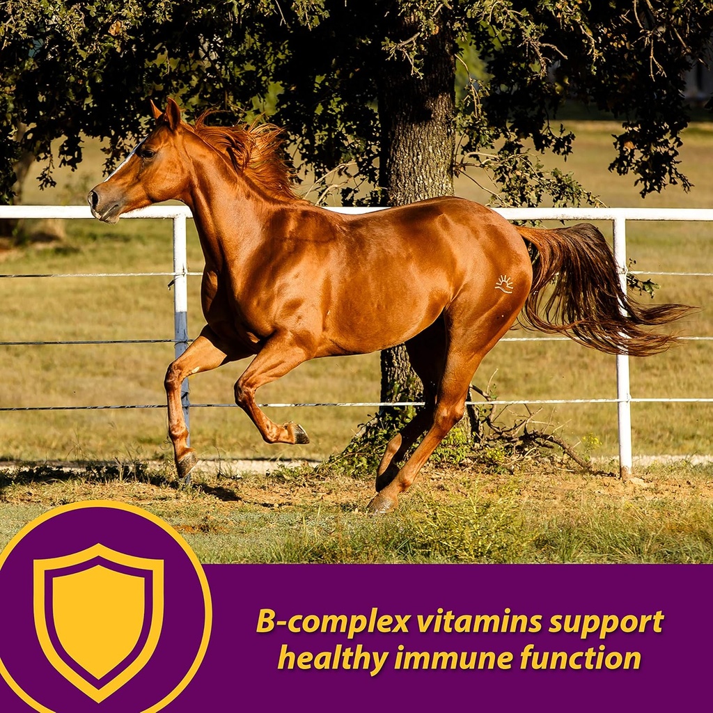 horse-health-red-cell-liquid-vitamin-iro-3.jpg